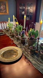 20K views · 2.2K reactions | Part 3 and the finale of Design My Spring Table Scape! Time to put it all together!  #tabledecor #SpringTablescape #Flowers #tulips #dafodils #hyacinths #springbulbs #bulbs #planting #garden #Terrecotta #Spring #Spring2024 #SpringDecor #Decor #Decorating | Johnny Krause | Facebook