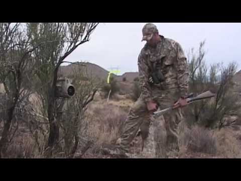 Calling Bobcats in Daylight