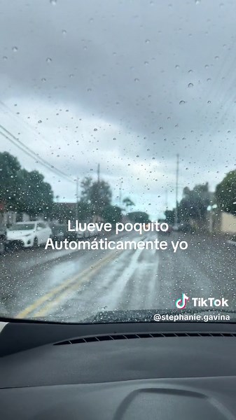 Stephanie Gavina on TikTok