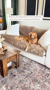 296K views · 5.2K reactions | Fall in love with the NEW ultra-plush...