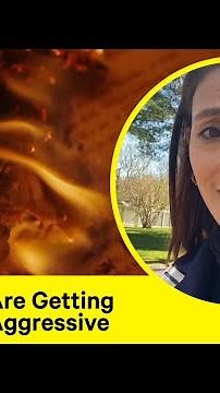 PEN America Reports Shows How Book Bans Are Expanding in Scope