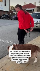 645K views · 6.2K reactions | Go Max!  | Dog Sense Training and Behaviour | Facebook