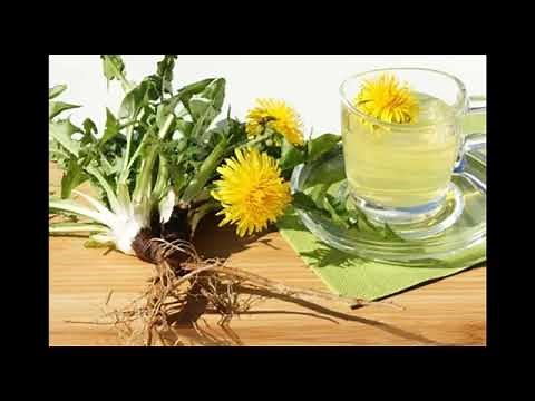 5 sensationelle Löwenzahnwurzel Wirkungen