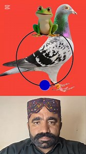 Complete the stop challenge #funny #puzzle #circletime #challenge #stoppie | Sherjan Jlalani Saudi Arab