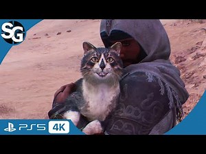 Assassin's Creed Mirage | Easter Egg: Assassin's Creed Themed Cat