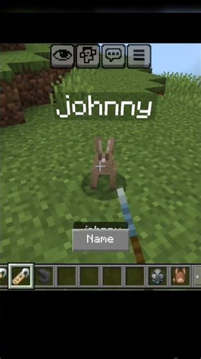 top 2 secret Minecraft name tag #minecraft #shorts