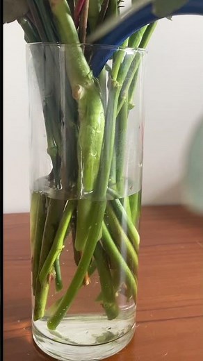 Florist Tips To Keep Flowers Fresh