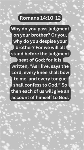 Jesus Saves | Romans 14:10-12 Daily Bible Verse