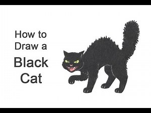 How to Draw a Cartoon Black Cat for Halloween!