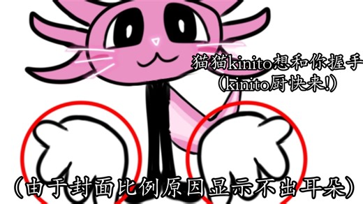 *猫猫kinito想和你握手(这么可爱确定不来看看吗)