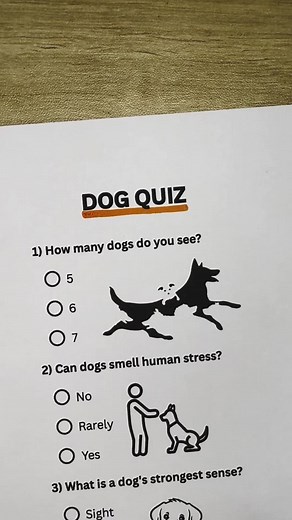 Dog Quiz: Test Your Canine Knowledge!