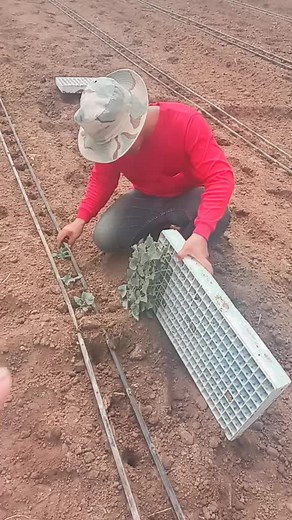 חשבונות מוצעים