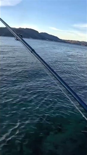 Winter Sea Trout Fishing – Fish in Snow & Sub-Zero Temps #flyfishing #seatrout #seatroutfishing