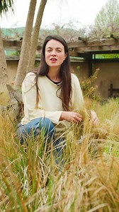 27K views · 338 reactions | Learn how to care for your ornamental grasses with a top tip from Frances Tophill  Do you grow these in your garden? | BBC Gardeners' World Magazine | Facebook