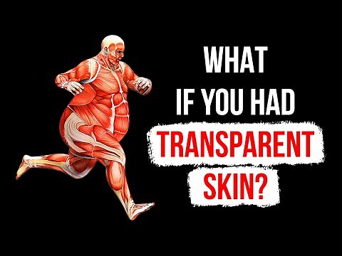 What If You Could See Everything Under Your Skin