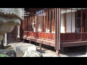 癒しの穴場スポット！ 「旧朝倉家住宅」の絢爛華麗な和の風景