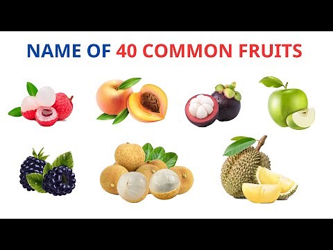 English Vocabulary | Name of 40 Common Fruits In English | English Name of Fruits | Esl