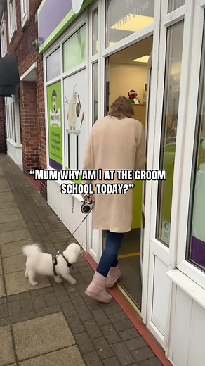 Grooming Course Enhances Canine First Aid Skills