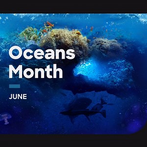 Welcome to Oceans Month 🌊 | Discovery Channel UK