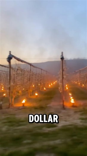 The 2 Billion Dollar Fire War