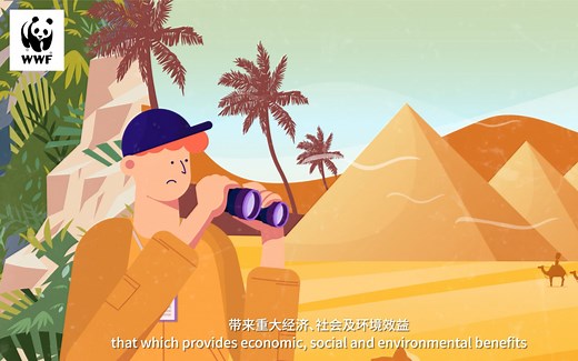 【WWF】开启绿色金融新篇章