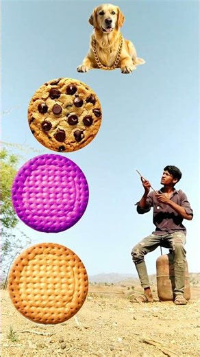 Biscuits to dog, elephant, cat & bear - Animals name vfx magic video #animals