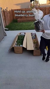 Calling all gardeners! There's a better way to buy plants. Join 1.8 million happy customers and shop trees and plants delivered to your door. Every plant backed by our Alive & Thrive Guarantee. | Fast Growing Trees