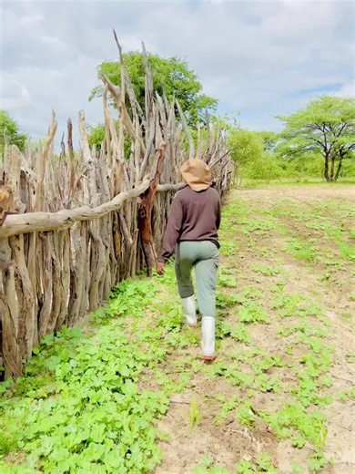 #fyppppppppppppppppppppppp #videoviral #fypシ゚viral