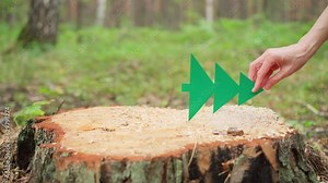 Christmas tree made of cardboard on a freshly cut stump "There was a Christmas tree and it is no more." Deforestation. The concept of protecting nature and the environment.