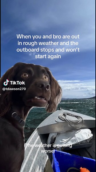 Bro's Boat Breakdown: A Memeworthy Moment