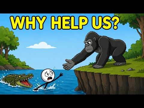 Why Do Animals Save Humans?