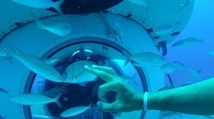A new video made from video clips taken by our staff and scuba team. Underwater shots by Pedro de Pando, Goretti Sarasibar Tellecha, Roberto Machin & Alejandro Martin, using go pro silver. Filmed inside sub using go pro hero and editing by Max Crane. Credit to "spacemonkey official" for the music. Submarine Safaris operate two of the world's most sophisticated hi-tech tourist submarines. Our Submarines are named Sub Fun Tres - Lanzarote and Sub Fun Cinco - Tenerife. They have been designed and b