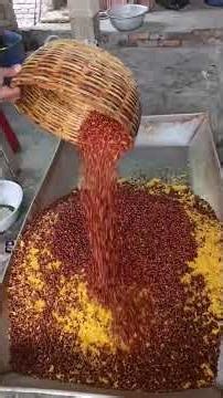 Amazing Chanachur making complete process in the factory.