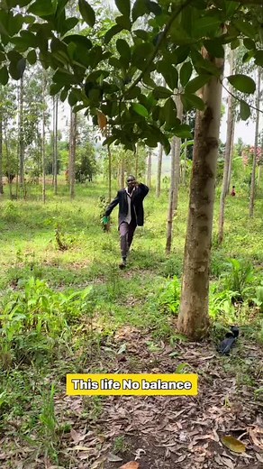 Life's Lack of Balance Funny Compilation