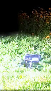 618K views · 14K reactions | El láser que extermina los mosquitos | CdeCiencia | Facebook