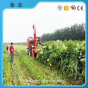 [Hot Item] Two Rows Grass/Corn Silage Harvester/Cutting Machine