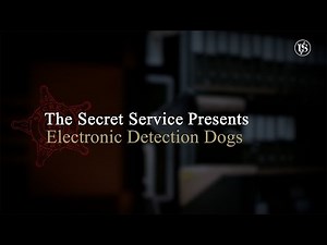 These Dogs Can Hunt…for Electronics - Inside the Electronic Detection Dog Program