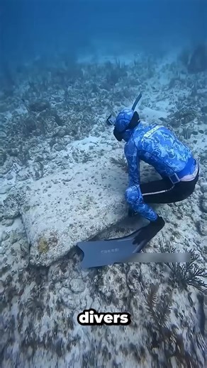 23K views · 115 reactions | Secrets of Deep Sea Creatures Revealed | Metdaan Animals | Facebook