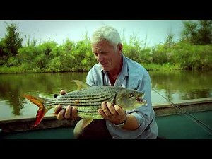Catching An African Tigerfish River Monsters