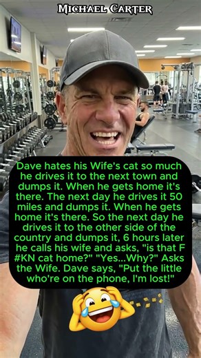 Cat Logic #short #comedy #funny #jokes #relatable #usa