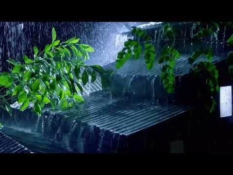 Calming Rain Sounds at Night for Anxiety and Sleep Problems