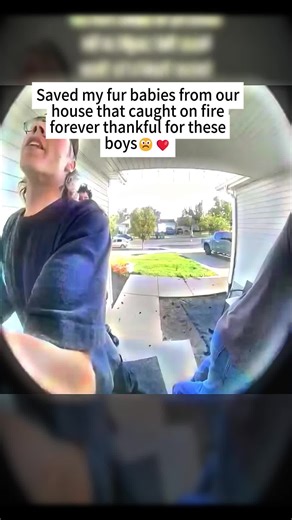 Literally the sweetest boys they were able to save our dogs from our house that caught on fire. So greatful for them!🫶🏽#rescue #respect #rescuedog #rescueanimals #housefire