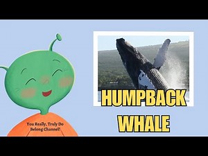 Meet the Humpback Whales | Arctic Ocean Animals | Animated Series | Stories for Kids