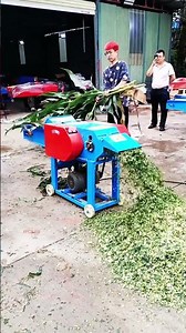 Chaff cutter farming feeding equipment #fcnfm #farmmachine