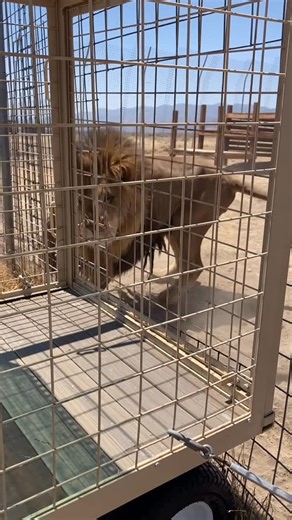 3.1K views · 8K reactions | Jabari can hardly contain his excitement...