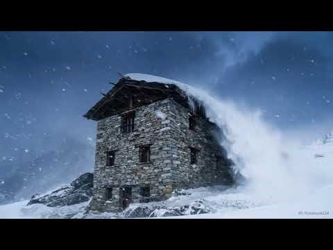 Class VII - Social Science - India Diverse Geographies - 4. Geography and human life