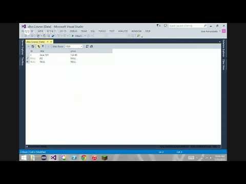 Adding Data to a Table in SQL Server from Visual Studio