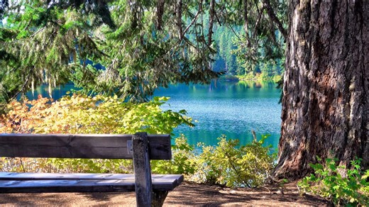 Lake, Water, Nature. Free Stock Video