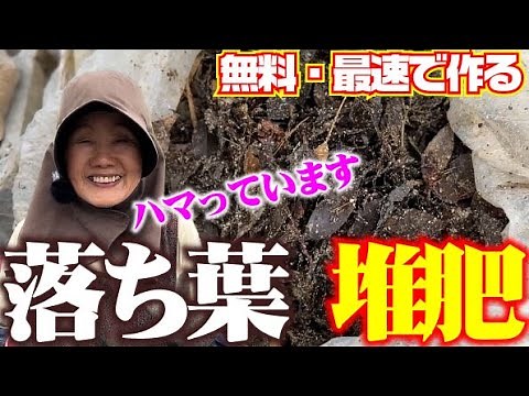 【もっと早くやればよかった・・・】材料費0円で極上の落ち葉堆肥を作ります。