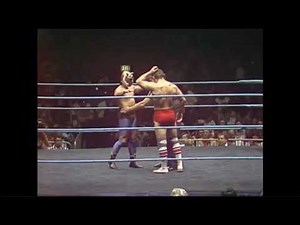 TIGER VS KID 1982 - inspirations never die